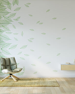 Design-Collection Specials