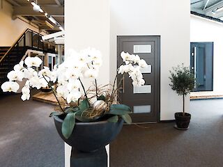 Orchideen als Dekoration