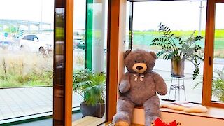 Hebeschiebetüre mit Loftelement