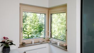 Frühlingswochen bei der Schwarzer GmbH in Remseck am Neckar